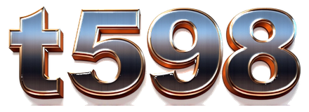 t598 logo